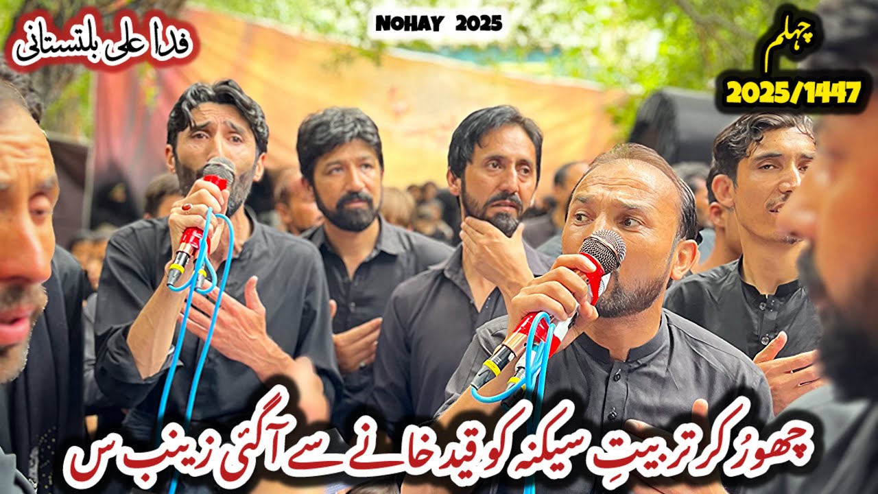 Fida Ali Baltistani Chehlum 2025 - 1447 || New Noha KARBALA KI ZAMIN PE MEHMIL || Chehlum Mehdiabad