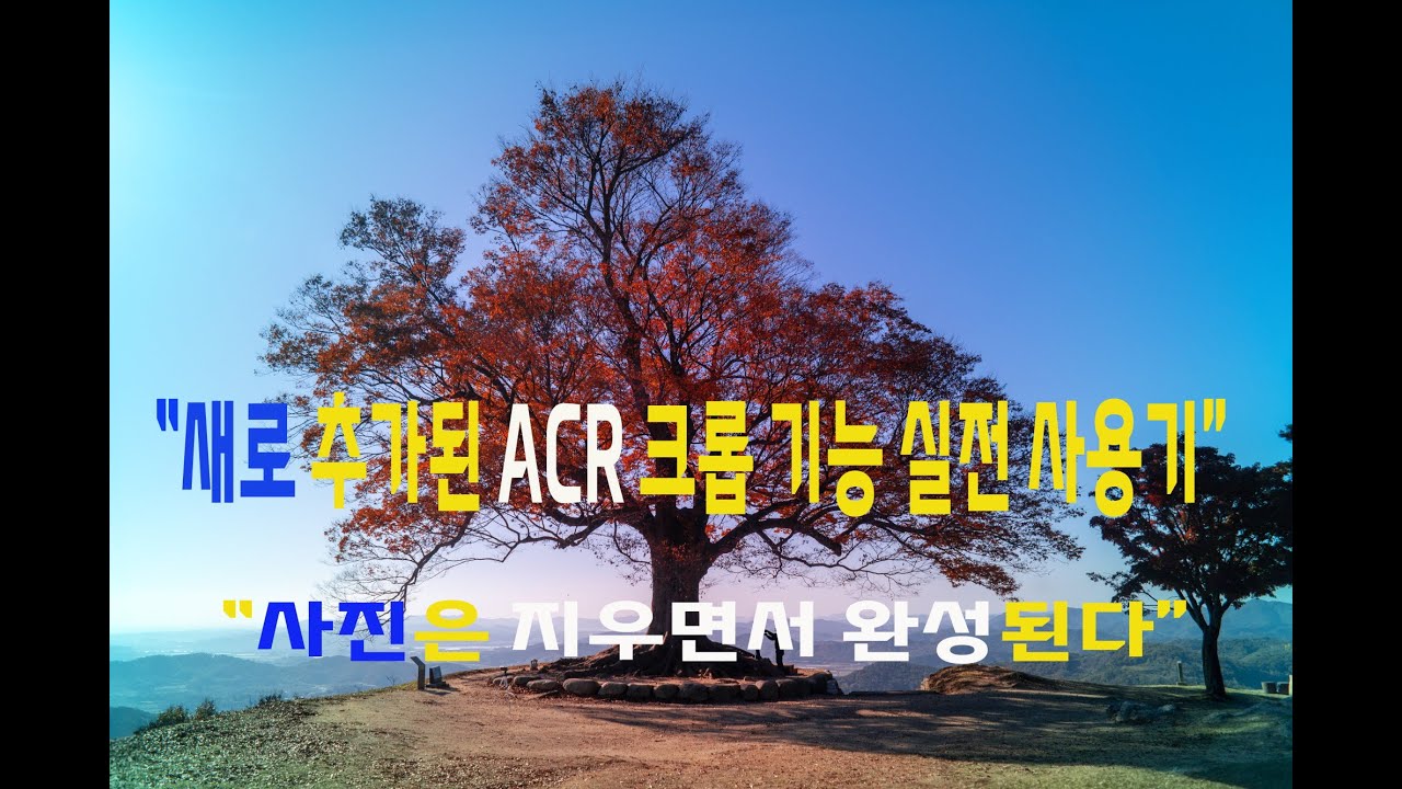 “성흥산성 사랑나무 보정 A to Z | ACR 생성형 크롭 + 제거툴 + 단풍 색감 살리기”