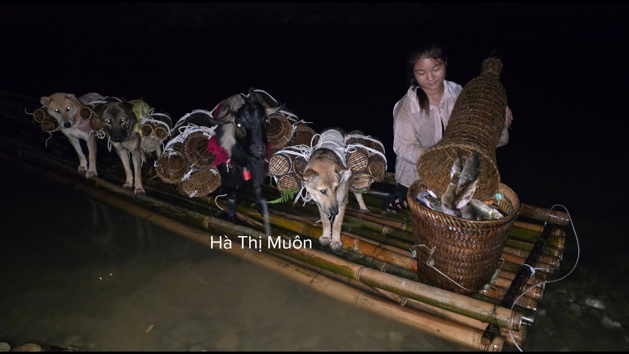 Vietnamese girl with dog and goat rowing raft to catch fish with bamboo basket for living