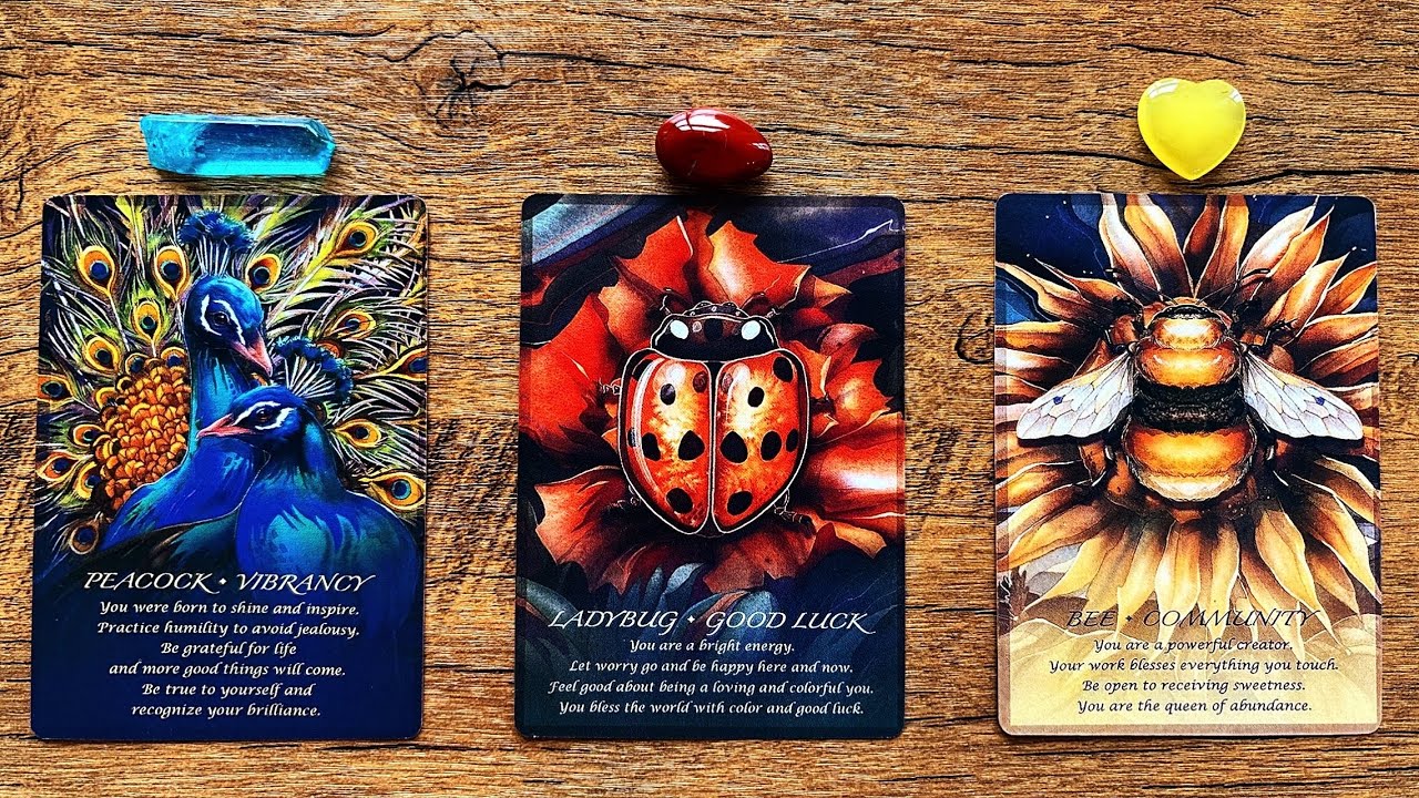 🎊CONGRATULATIONS!🎊 YOU JUST SHIFTED! 444 🌟🌎✨ | Pick a Card Tarot Reading