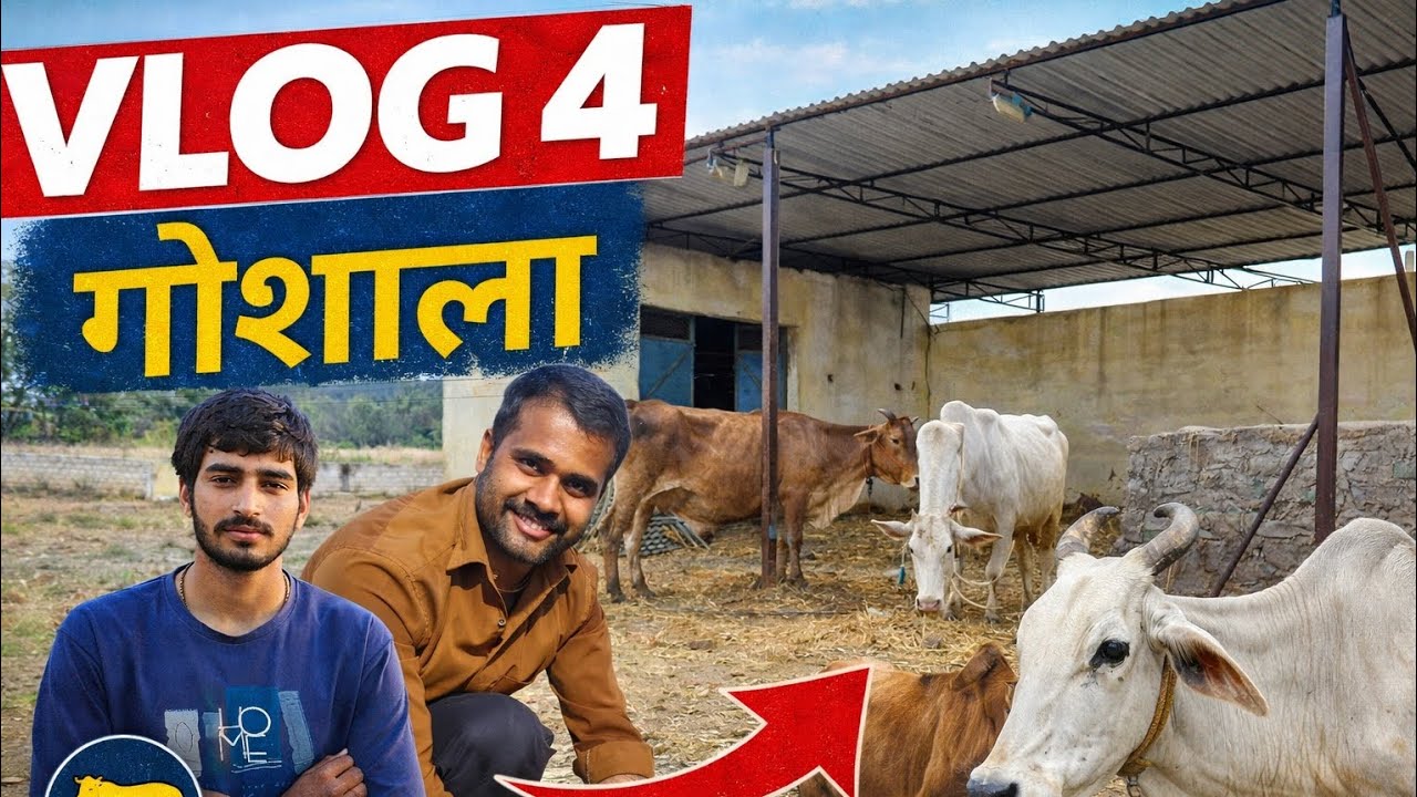 Vlog 4 goushala 🍂✨#vlog #yoitubevideo #sewa 