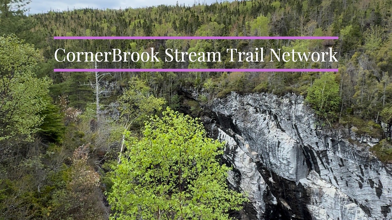 🌲 Corner Brook Stream Trail Network | Complete 25+ km Loop Hike | ASMR  | Newfoundland Hidden Gem 🇨🇦