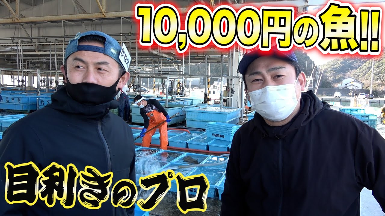 かねこからのおつかい！市場で最高の旬な魚を仕入れてもらったら