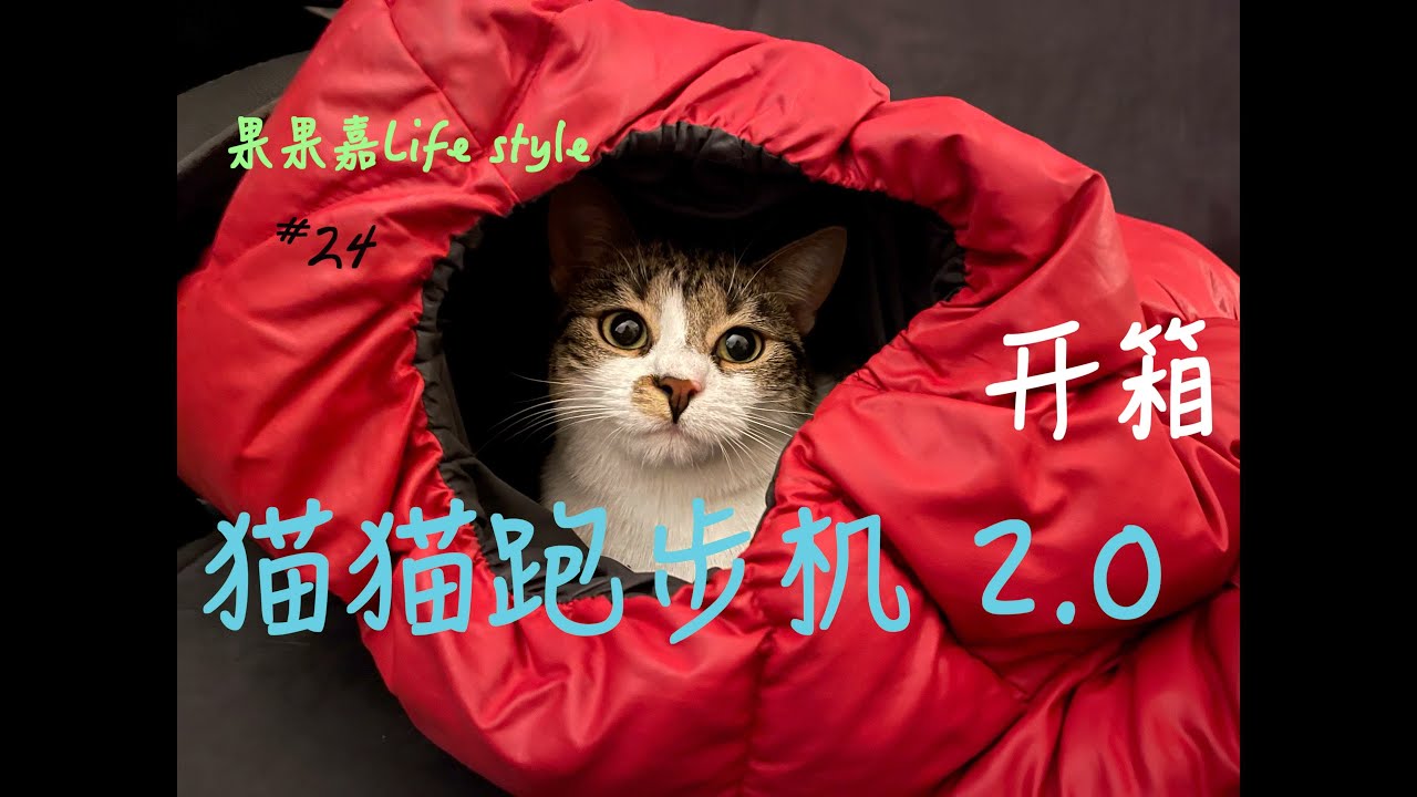 【开箱】猫猫跑步机2.0开箱｜Elmato 10720 Simba XXL Katzenlaufrad｜一体式木质结构不用拼装｜声音不大很稳定结实｜悟空宝宝很喜欢｜跑出了小豹子即视感❤️