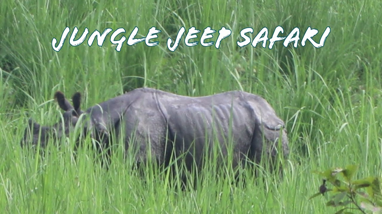 Sauraha jeep safari with family | Chitwan National Park |