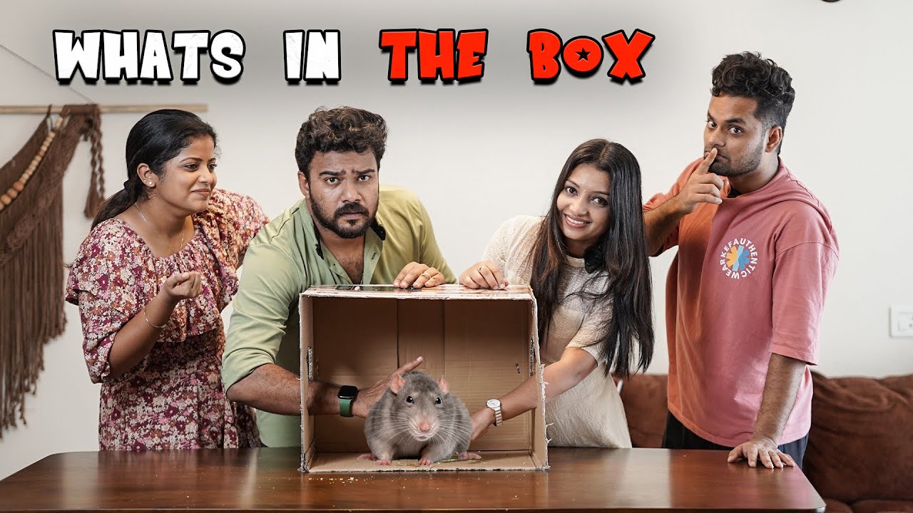 What's in the Box Challenge| Kukku & Deepa| TheDKtales| @lijolonappan17
