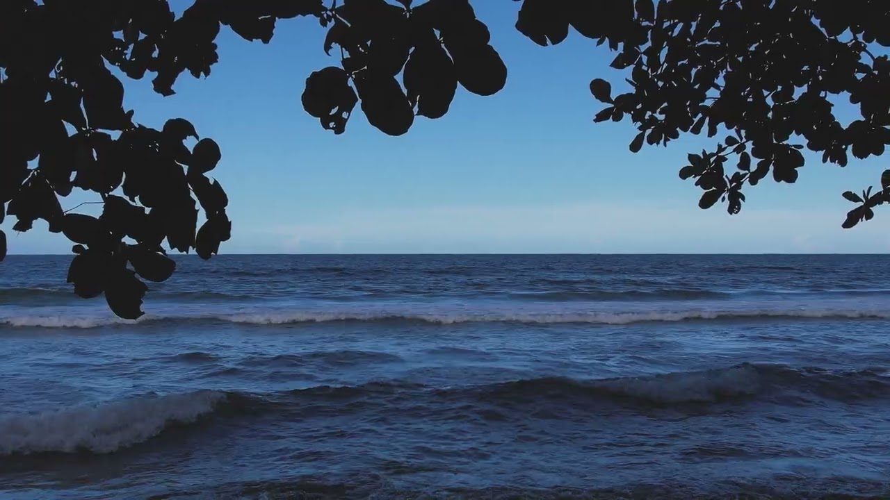 Creative Self Expression Video