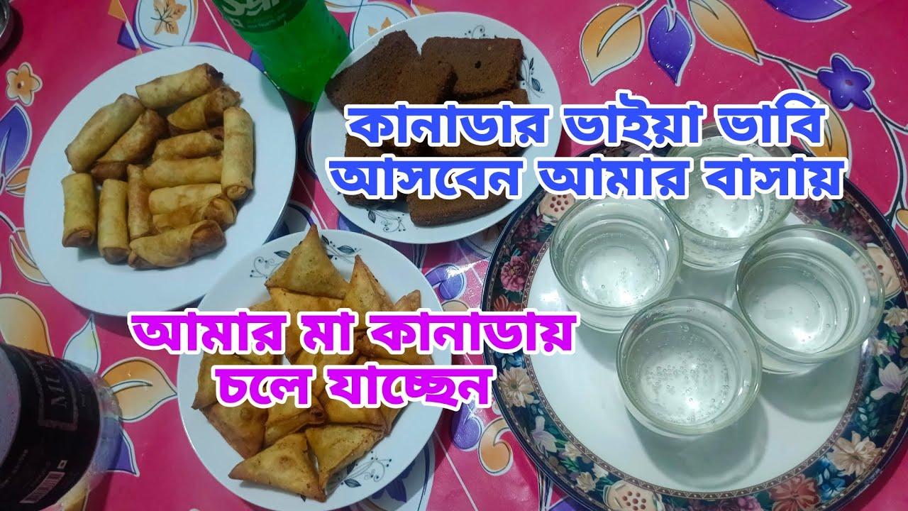 আমার মা কানাডায় চলে যাচ্ছেন ॥ কানাডার ভাইয়া ভাবি আসবেন আমার বাসায় ॥