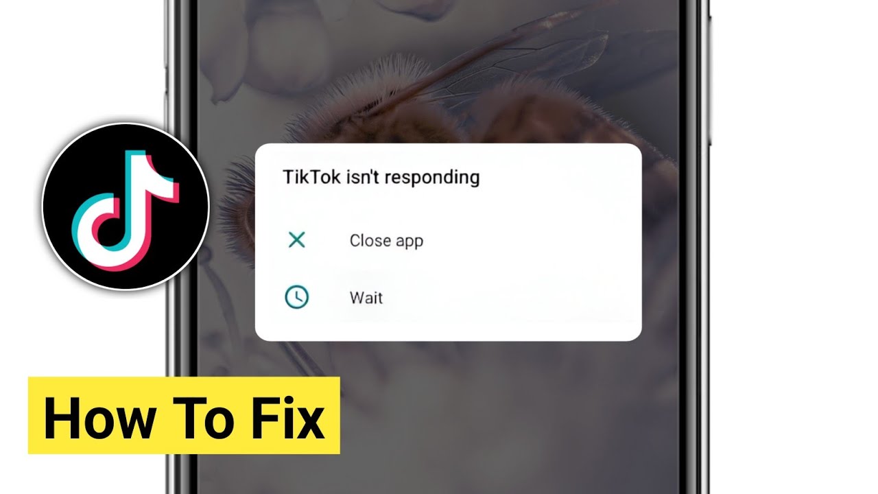Как исправить ошибку &laquo;TikTok не отвечает&raquo; || TikTok не открывается || Ошибка &laquo;TikTok не отвечает&raquo;