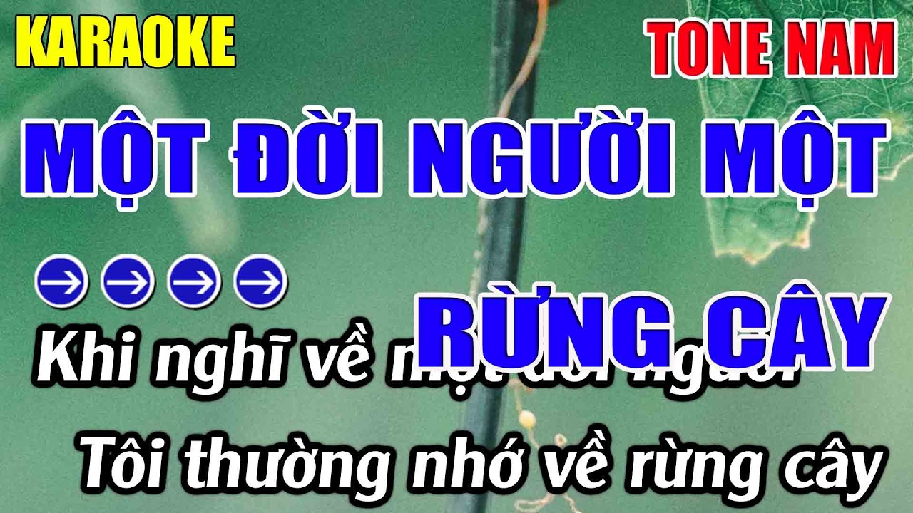 Một Đời Người Một Rừng Cây Karaoke Tone Nam Karaoke Lâm Nhạc Sống 2026 -  Beat Mới
