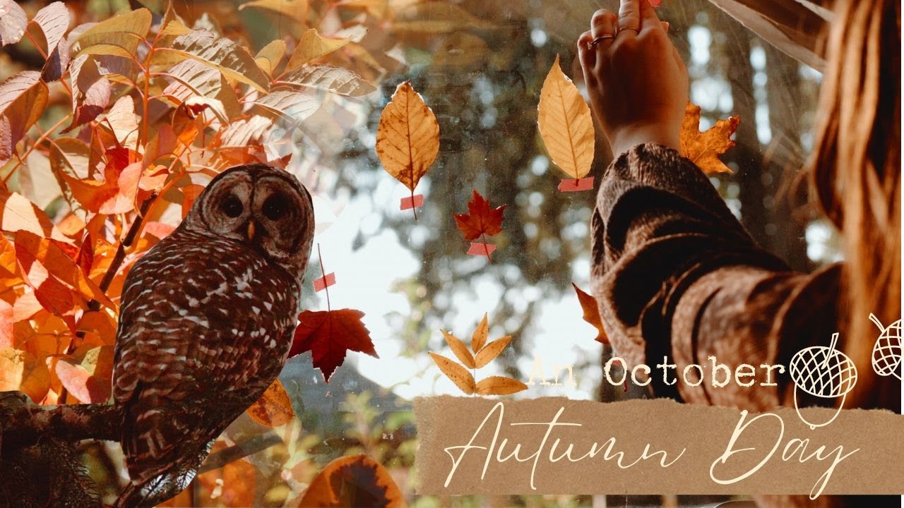 An October Autumn Day 🍁🦉  finding fall colors, dipping leaves in beeswax & my owl friend is back!