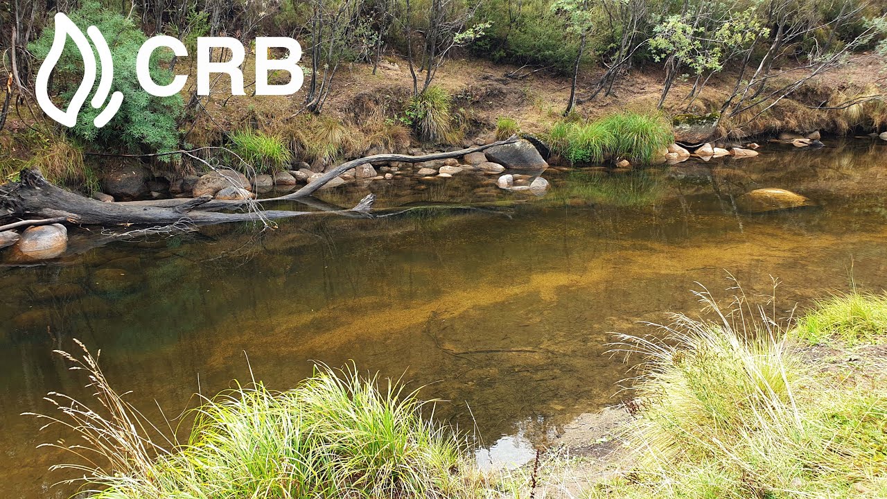 CRB Campground - Anglers Rest, Victoria