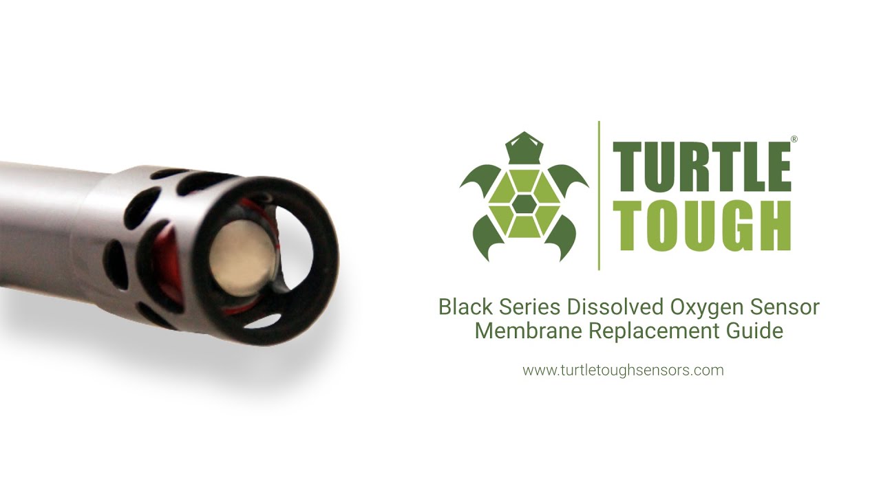 Tough Series DO Membrane Replacement Guide