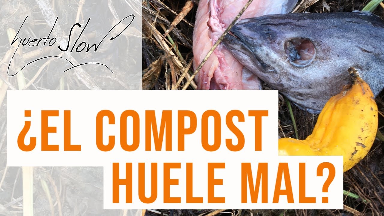 ¿El compost huele mal?
