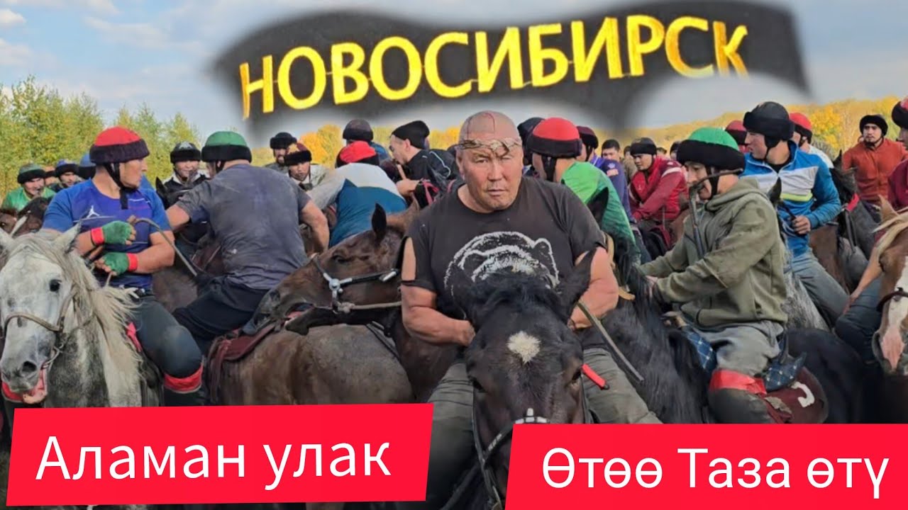 Новосибирск 25 сентября 2025 Равшан аканин Неверелерине арналган аламан улак #атбазар #rek