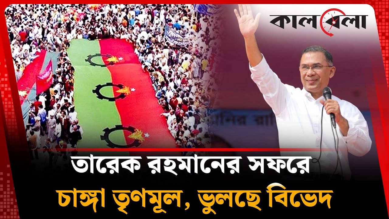মাঠে নেমেছেন তারেক রহমান, বিভেদ ভুলে ধানের শীষের পক্ষে নেতাকর্মীরা | Tarique Rahman | BNP | Kalbela