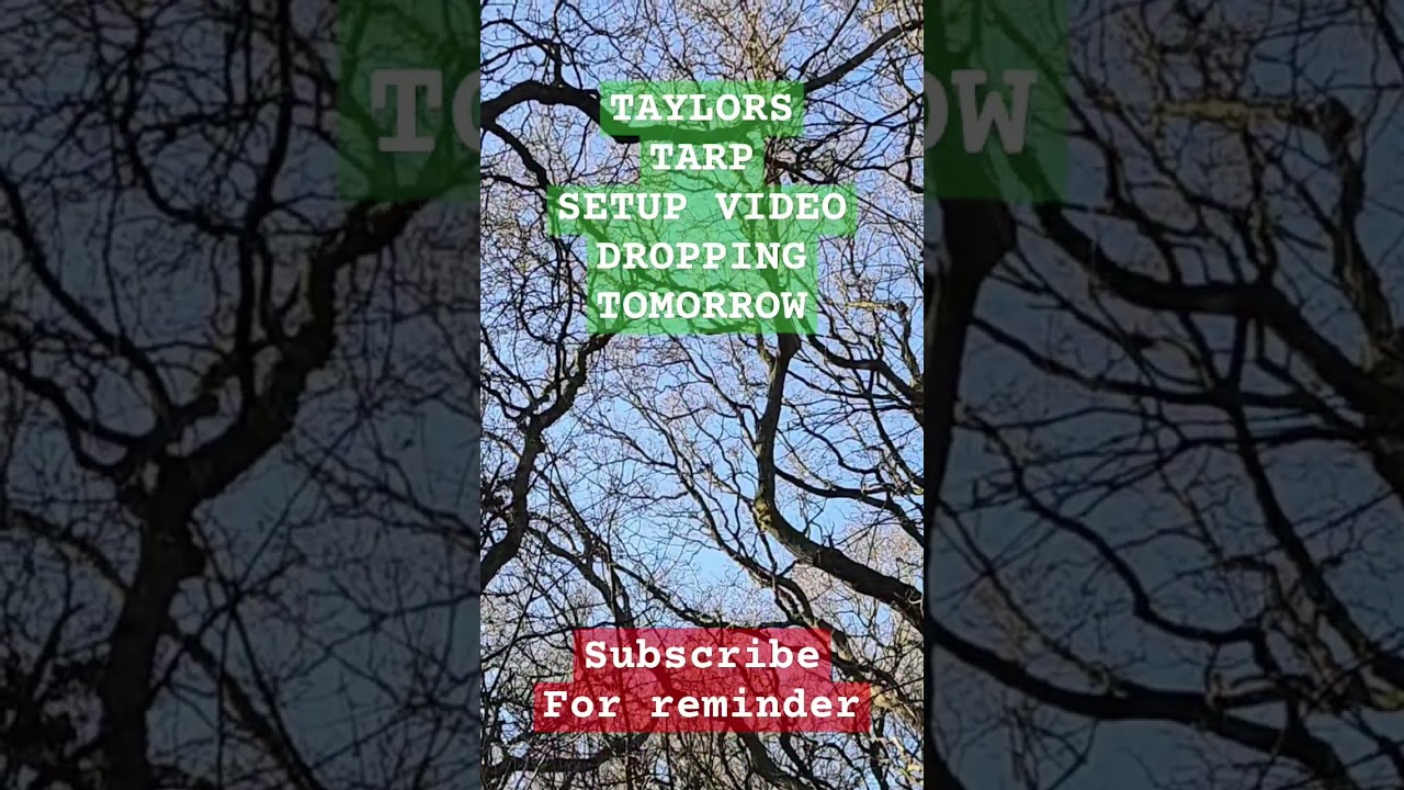 Another tarp setup video dropping tomorrow #tarptent #ddtarp #tarpsetup #camping