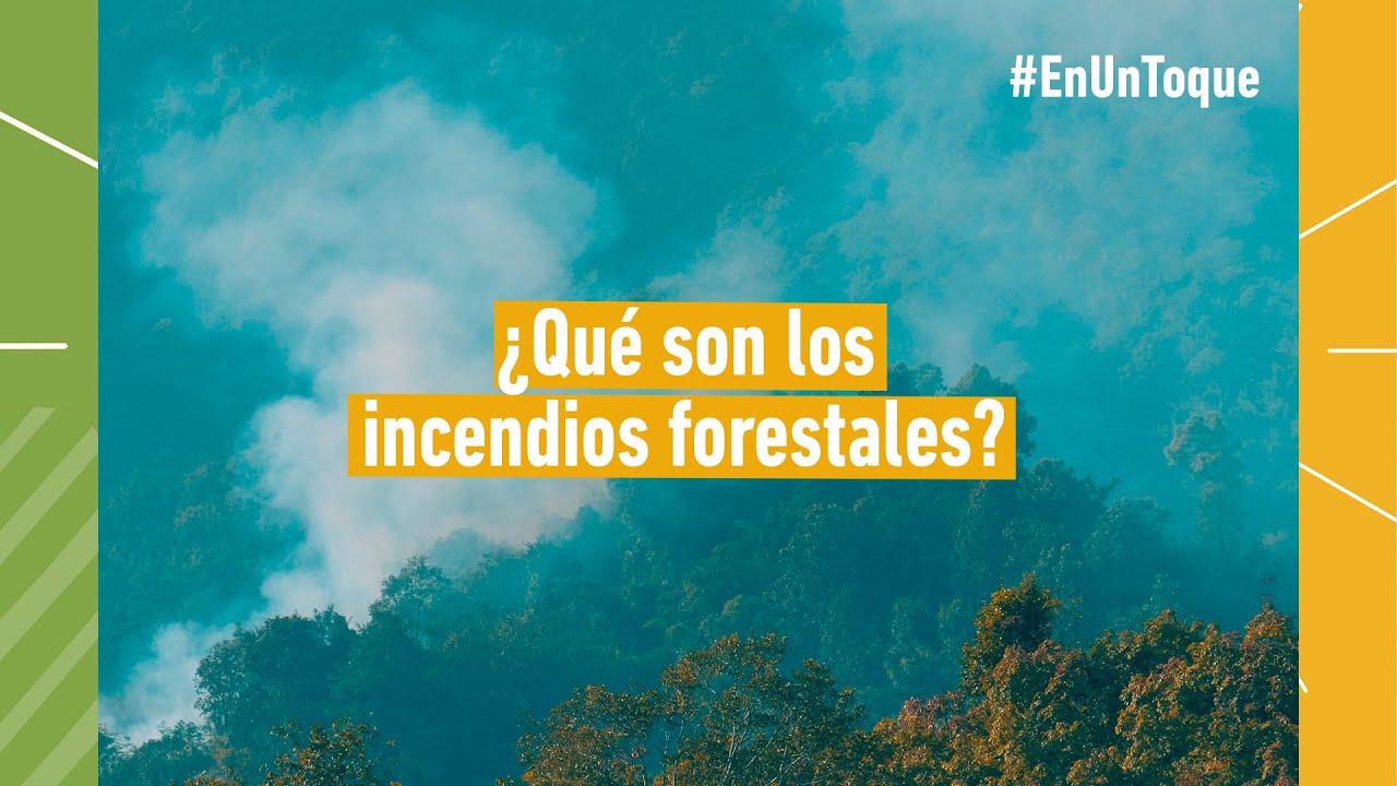 ¿Qué son los incendios forestales?