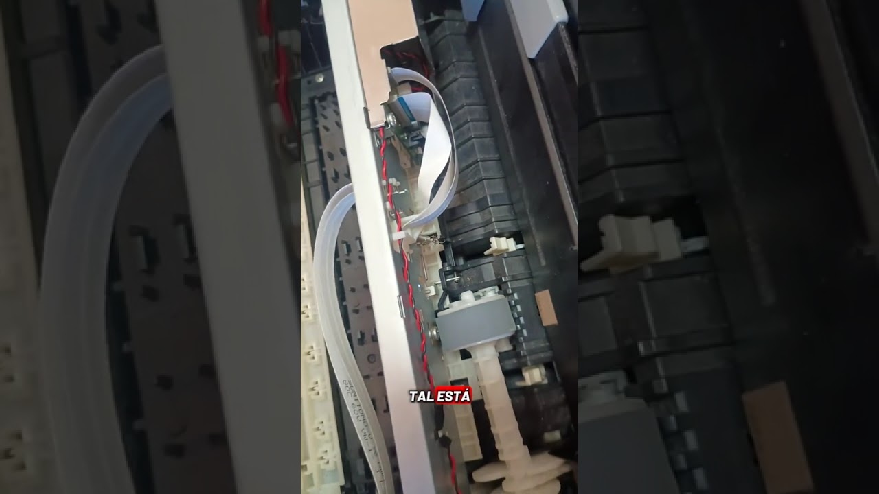 Epson L365, muchas reparaciones, se intentó de todo, pero no siempre es viable.