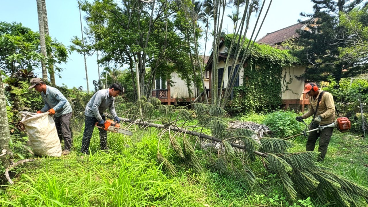 CEO left the City to Return to the Countryside to buy an Abandoned House to RENOVATE and CLEAN UP