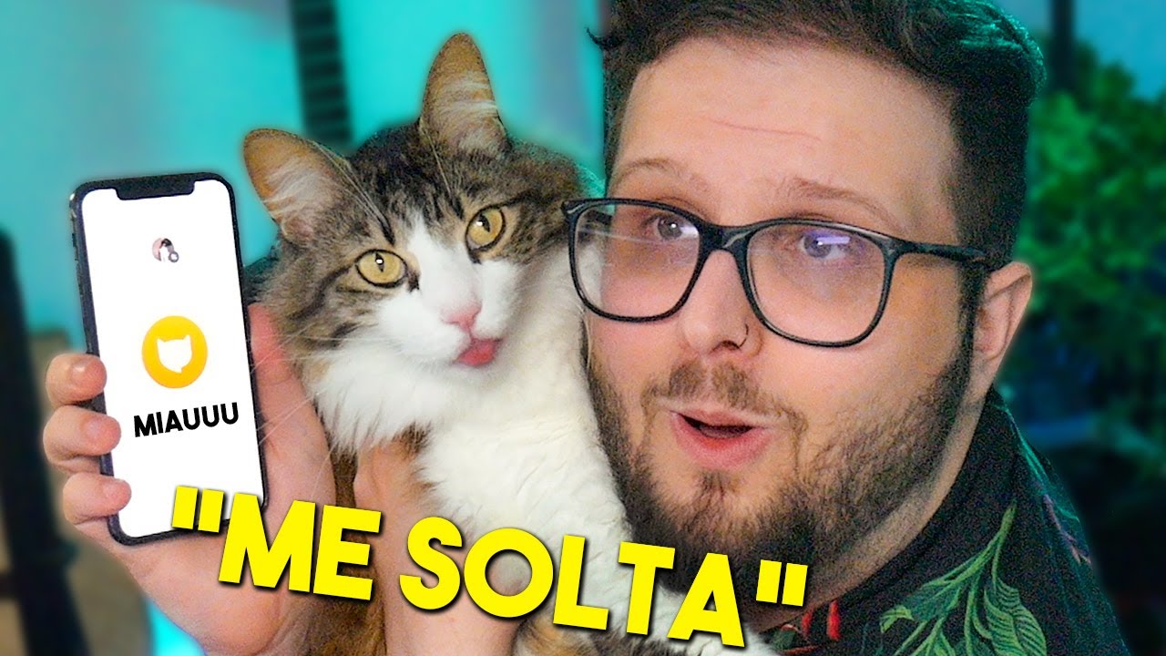Eu Conversei com Meus Gatos Usando meu Celular