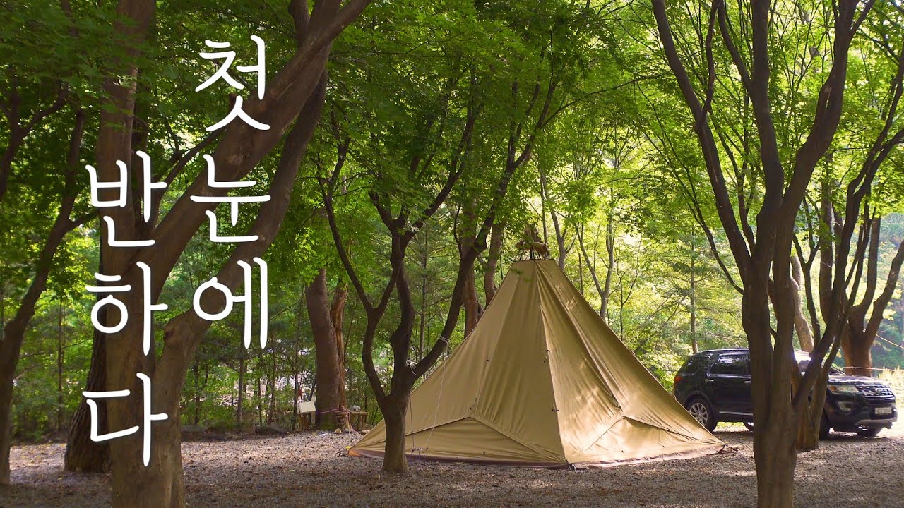 동계텐트 질렀는데 개예쁨!!!!! 서커스 TC 빅 / 텐트마크디자인