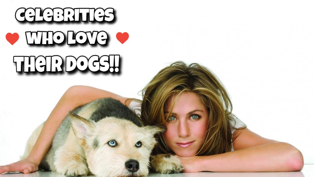 Celebrities who love their DOGS!!! - Celebrity Hype
