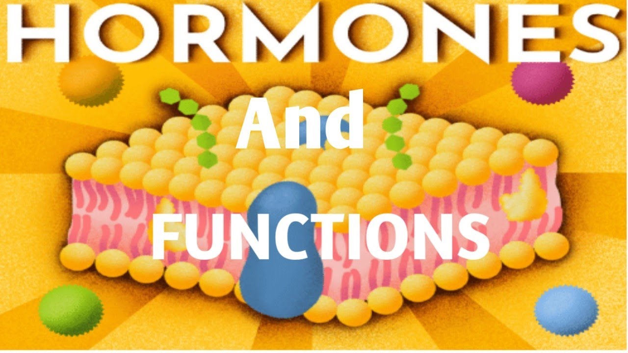 hormones and thier functions || #boardexam2023 #sciencepreparation #10boardexam