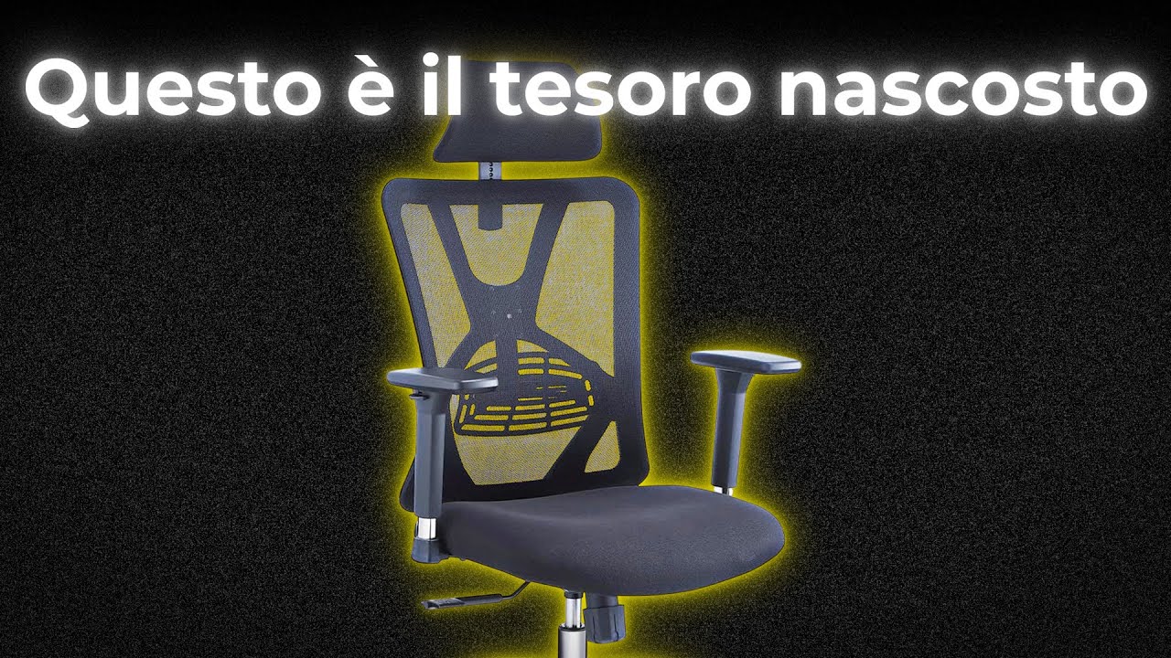Se hai un budget ristretto ma desideri il meglio, questa sedia è fatta per te