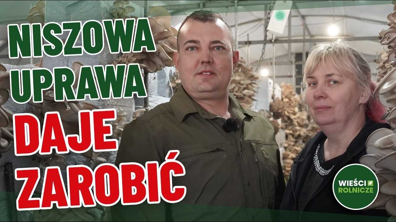 Czerpią zyski z niszowej uprawy, ze zbytem problem&oacute;w nie mają. Gospodarstwo 30 ha w Wielkopolsce