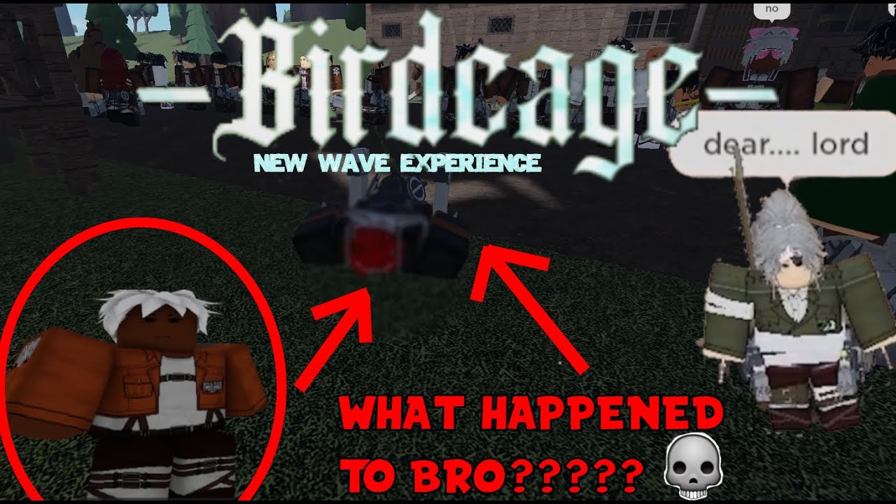 My New Wave Experience. | Birdcage