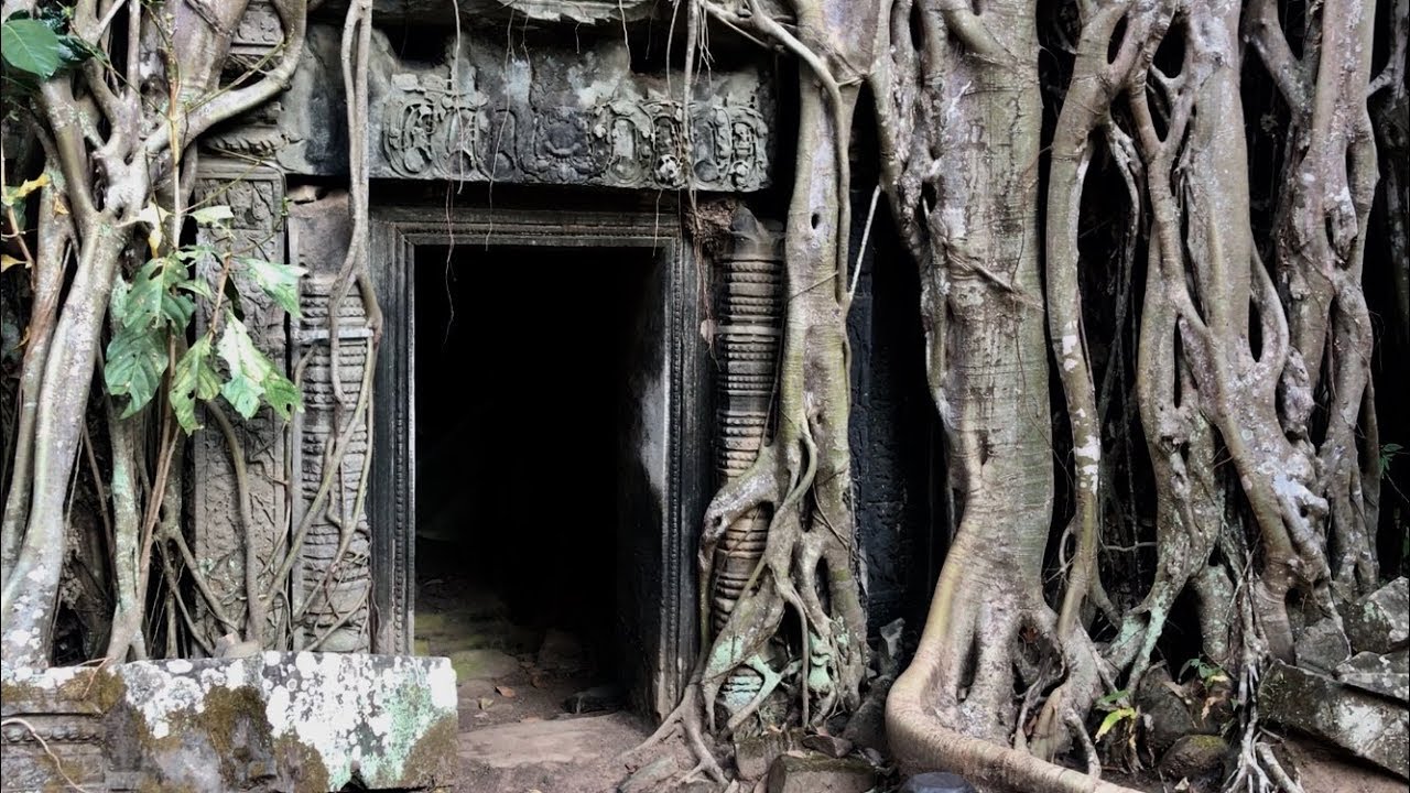 Ta Prohm temple Tomb Raider filming location and dark souls location