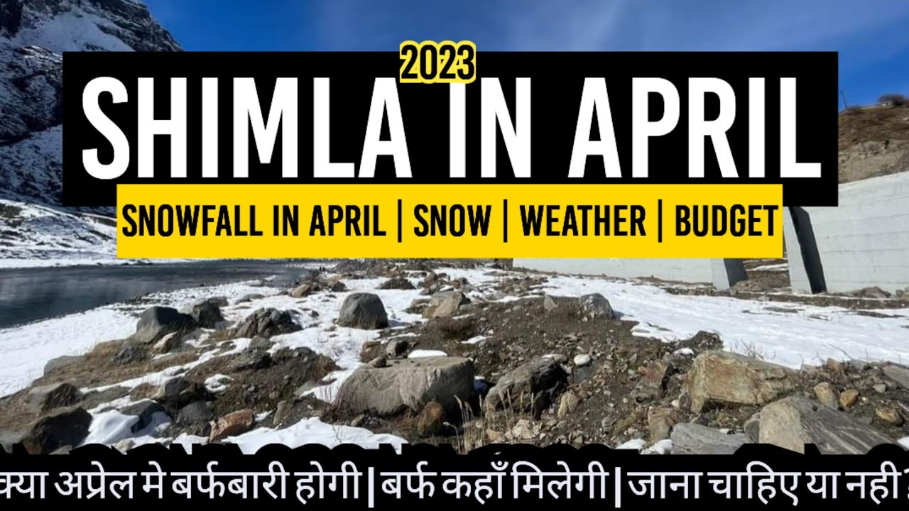 Shimla in april | snowfall / april 2023 | Snow | Hotel | Budget | kufri