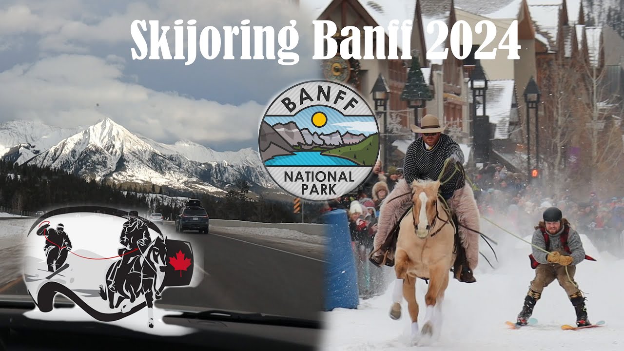 SKIJORING BANFF 2024 | vlog |PaintedPony