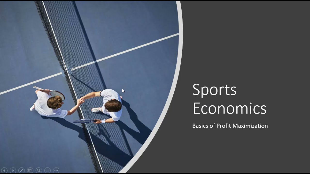 Sports Economics: Basics of Profit Maximization