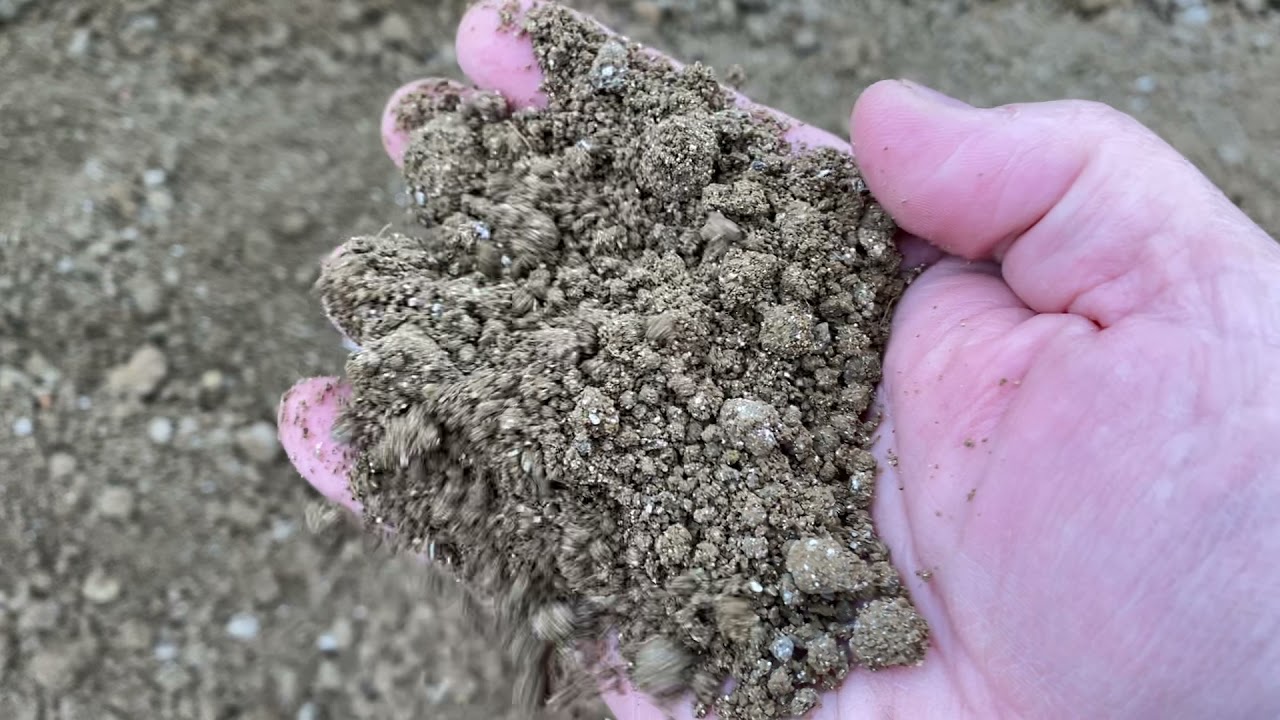 Lime modification - the immediate benefit