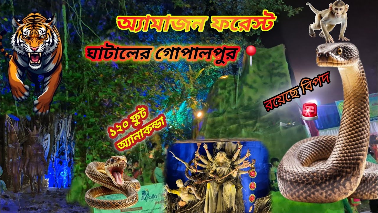 অ্যামাজন ফরেস্ট 🚨 ঘাটাল গোপালপুর📍 ১২০ ফুট অ্যানাকোন্ডা 🦎 কে কে এসেছিলে এখানে 🥰