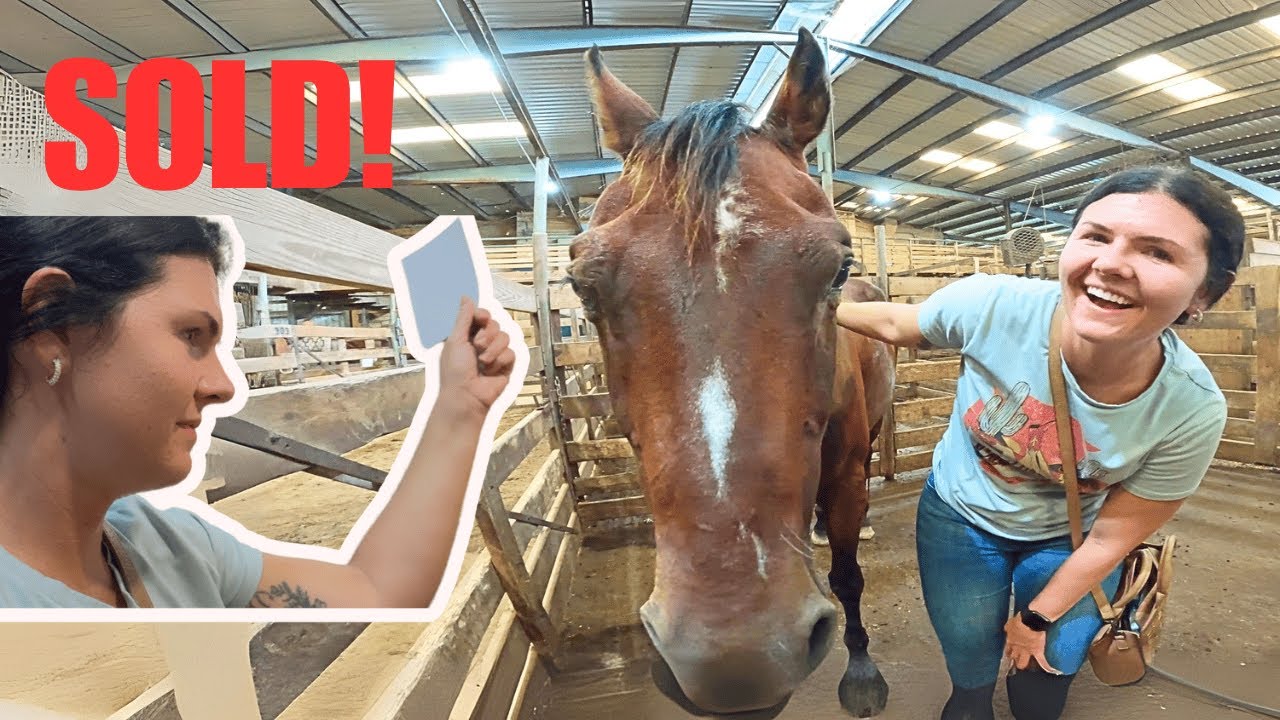 We Went to a Horse Auction... Which One Did She Get?!
