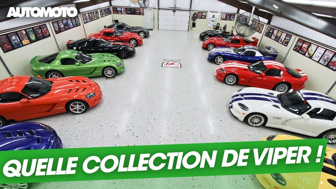 La plus grande collection de Viper au monde