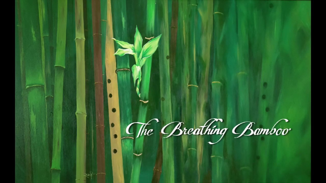 Windsong by Nitin Amin : Kahin Door Jab Din Dhal Jaye