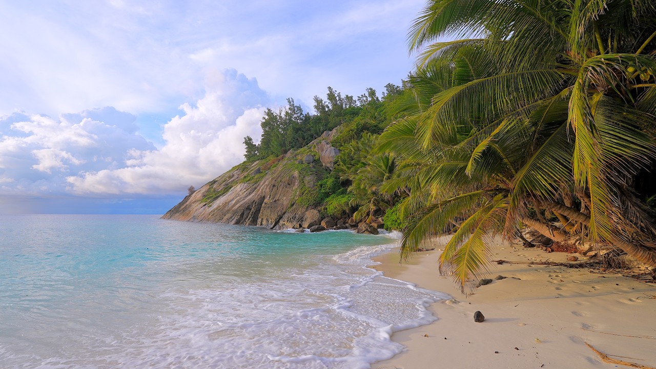 🏝 Relax on a Luxury Island in Seychelles. Tropical Beach in Summer.