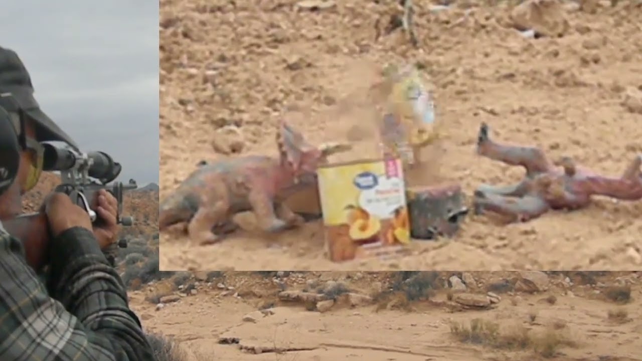 Винтовка AR-10 калибра .22lr с продольно-скользящим затвором и стволом SEARS & Roebuck на расстоя...