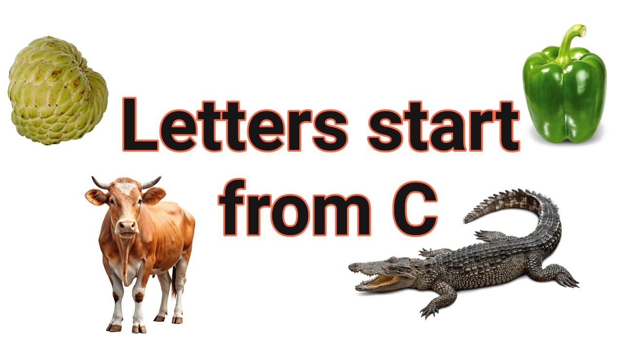 Letters  Start From C || Letters Start With C || #kidzy