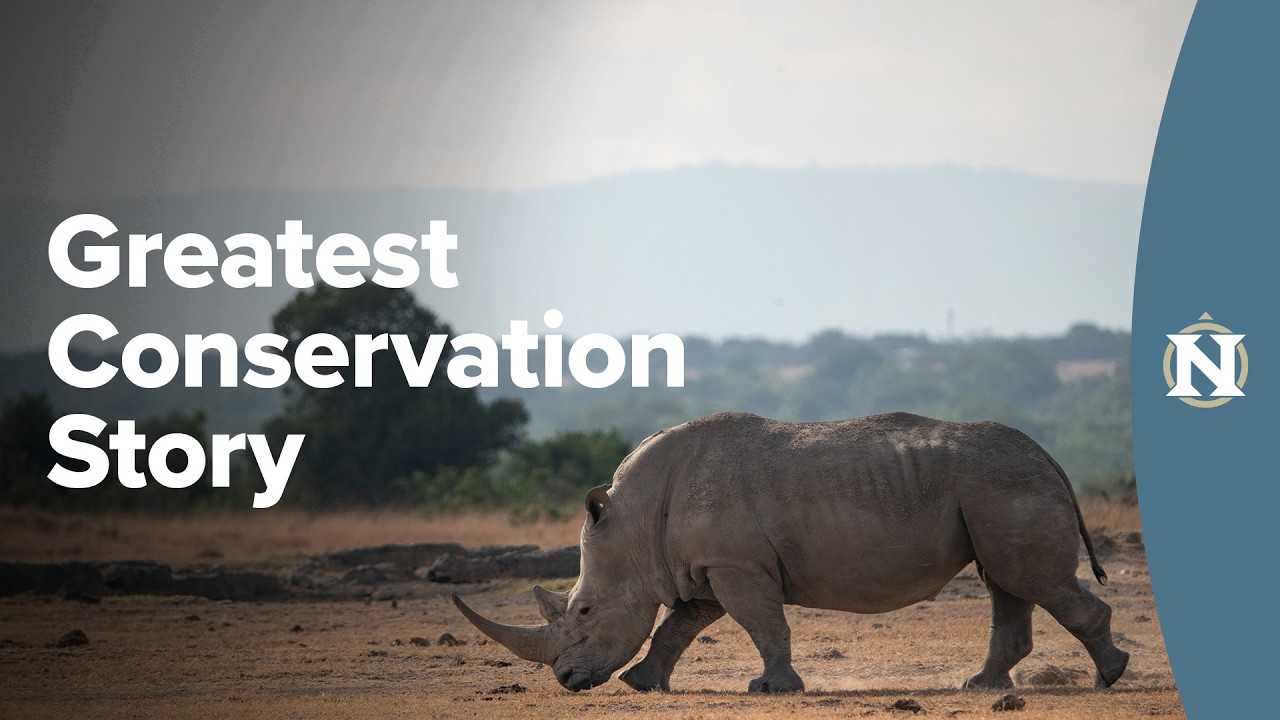 Pride of Namibia: The Greatest Conservation Story Ever Told