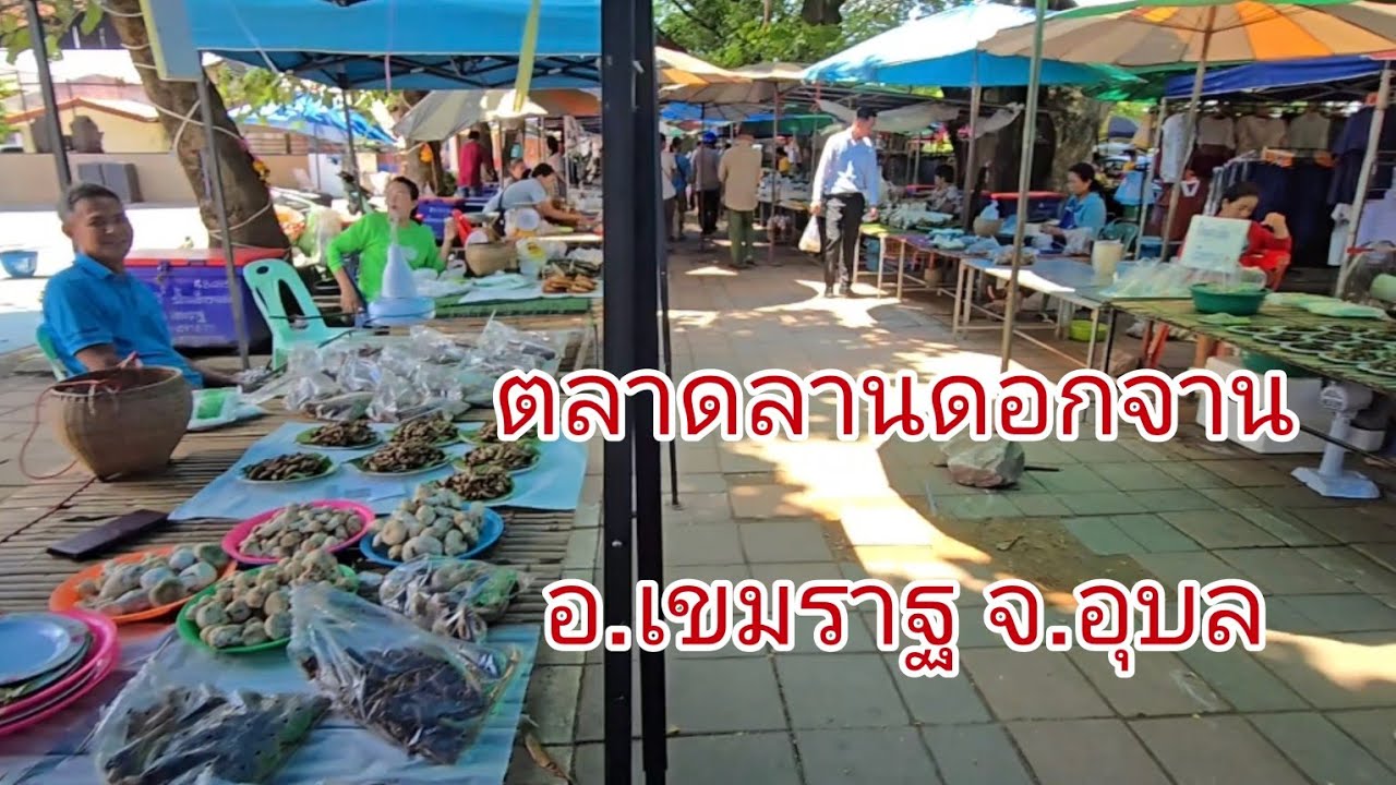 #อุบลราชธานี ตลาดอาหารตามฤดูกาล ลานดอกจาน อ.เขมราฐ #อุบลราชธานี #บรรยากาศ อบอุ่น #ลุงแม็ค