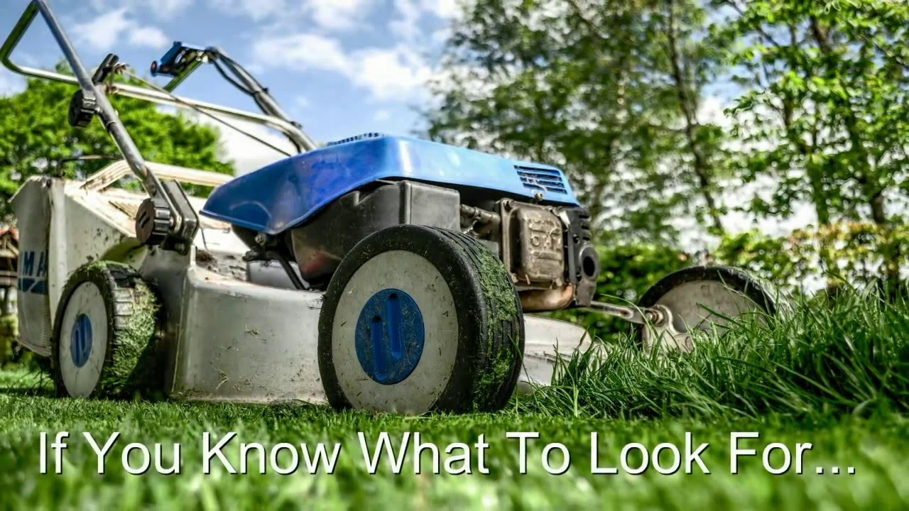 Best Wichita Lawn Care