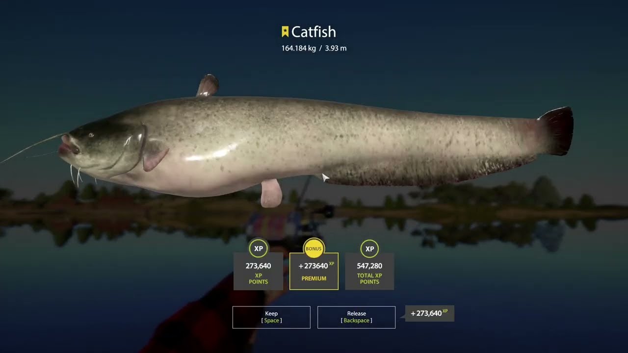Russian Fishing 4 Trophy Catfish 164kg
