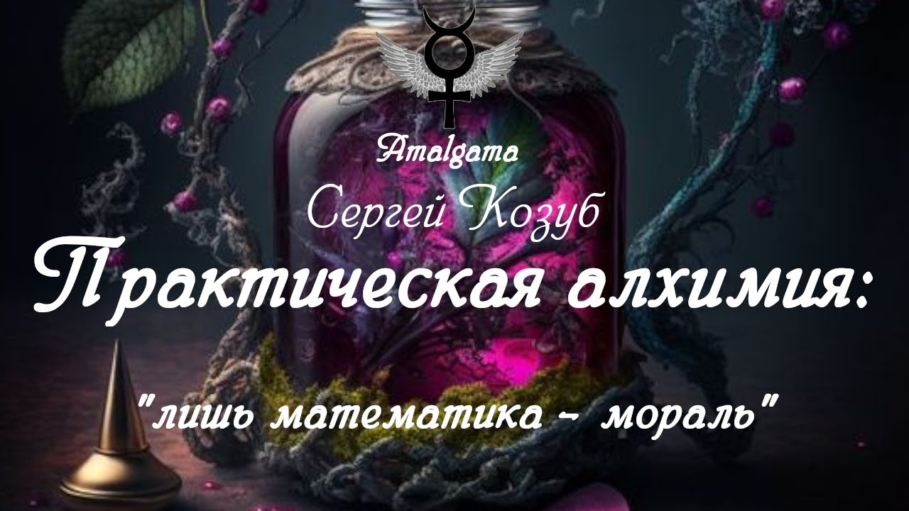 Сергей Козуб  &laquo;Практическая алхимия. Лишь математика &ndash; мораль&raquo;