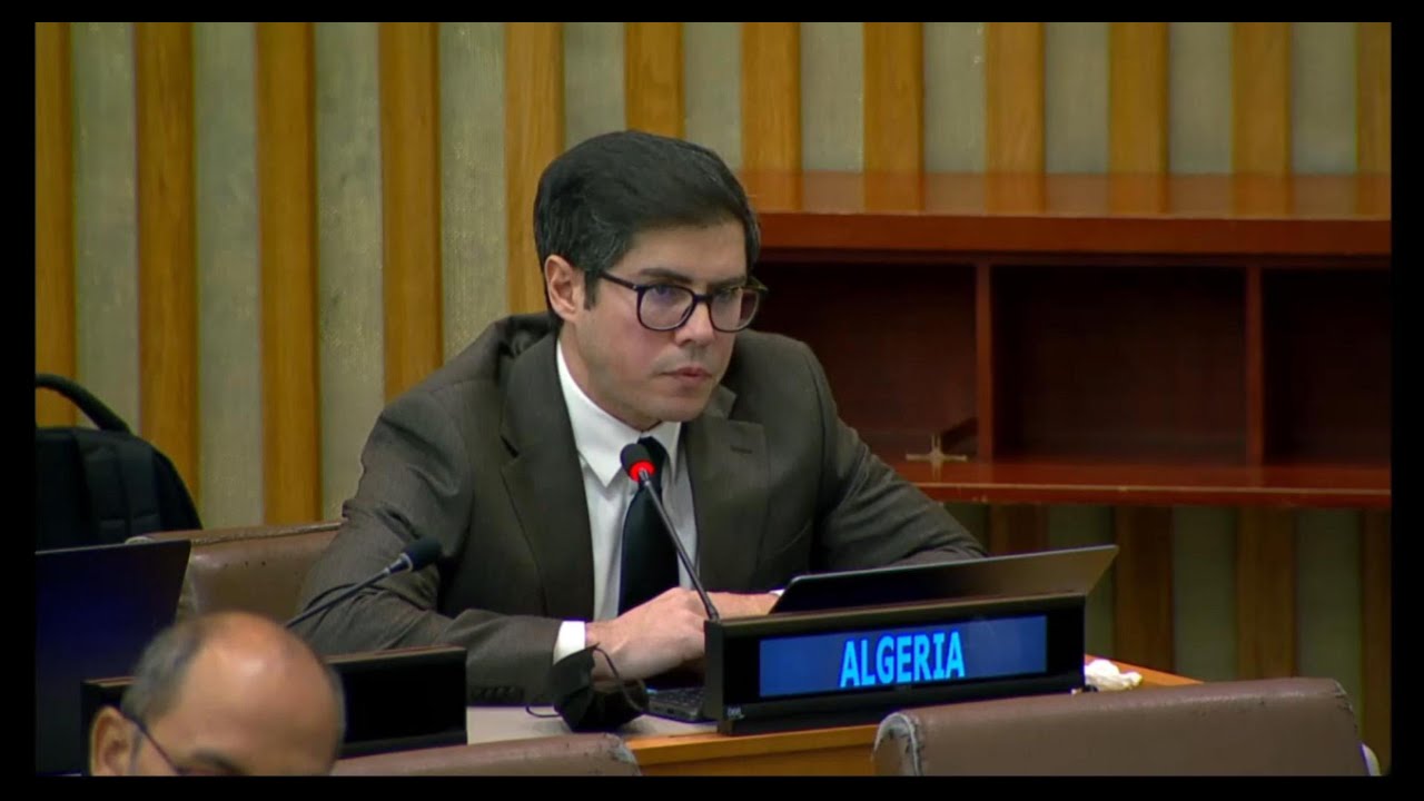 Déclaration de l'Algérie - Le Comité chargé des organisations non gouvernementales de l'ECOSOC