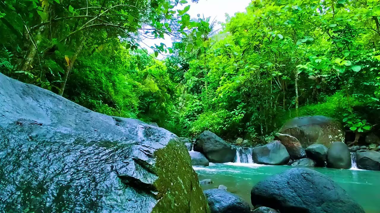 River Sounds 💧 Sleep Sounds of Flowing River & ASMR Water Flow - Relaxing Ambience